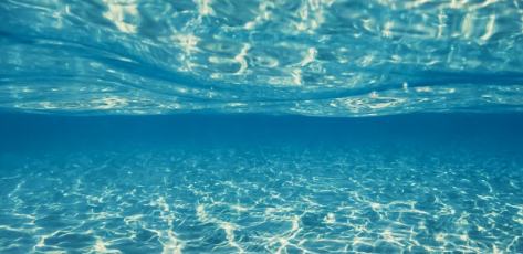 異世界的“小日?!迸c“大格局”——晉江文學(xué)城近半年網(wǎng)文新探